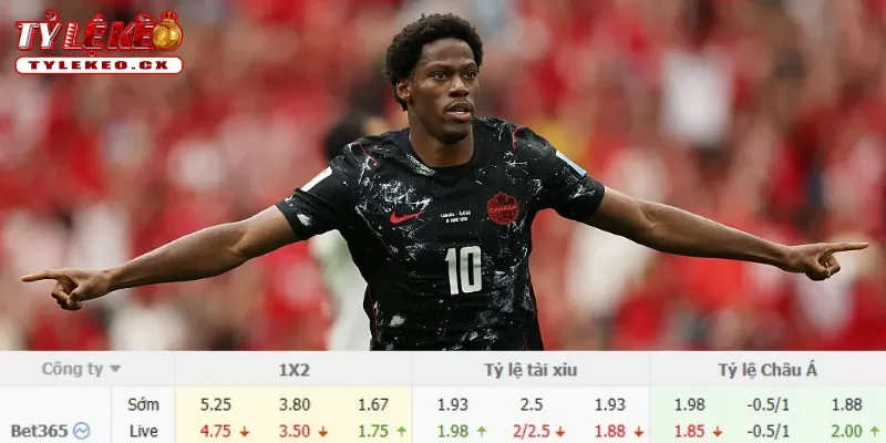 Soi Kèo Nam Phi vs Canada (04h00 ngày 28/06) Bảng L World Cup 3 Chi tiết kèo Nam Phi vs Canada