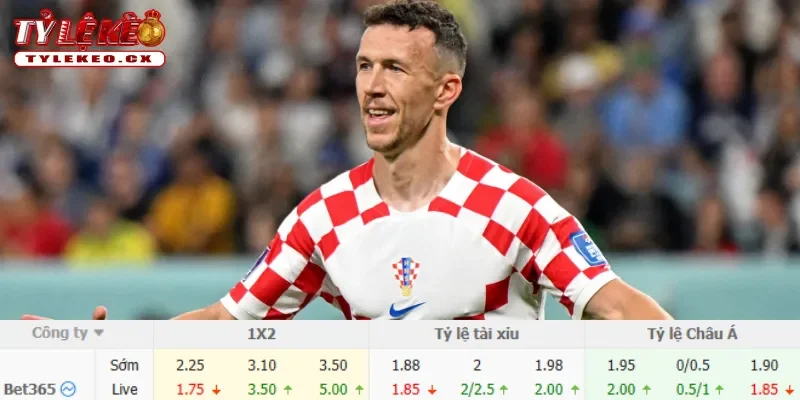 Soi Kèo Bồ Đào Nha vs Croatia (06h00 ngày 03/07) Vòng 32 Đội World Cup 3 Chi tiết kèo Bồ Đào Nha vs Croatia