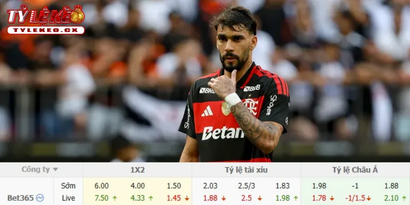 Soi Kèo Chapecoense vs Flamengo (07h30 ngày 23/07) VĐQG Brazil 3 Chi tiết kèo Chapecoense vs Flamengo