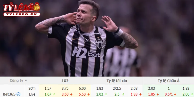 Soi Kèo Palmeiras vs Atletico Mineiro (05h30 ngày 27/07) VĐQG Brazil 3 Chi tiết kèo Palmeiras vs Atletico Mineiro