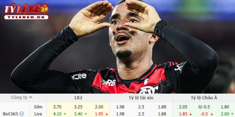 Soi Kèo Internacional vs Flamengo (05h30 ngày 30/07) VĐQG Brazil 1 Thành tích thi đấu trước trận Internacional vs Flamengo