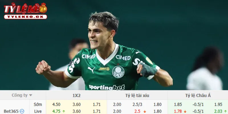 Soi Kèo Fortaleza vs Palmeiras (07h30 ngày 06/08) Copa do Brazil 3 Chi tiết kèo Fortaleza vs Palmeiras